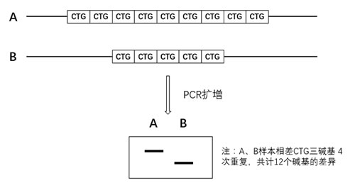 圖523032201.jpg