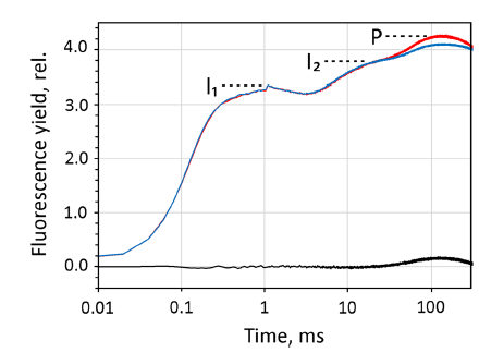 8-fast-kinetics-measurements.png